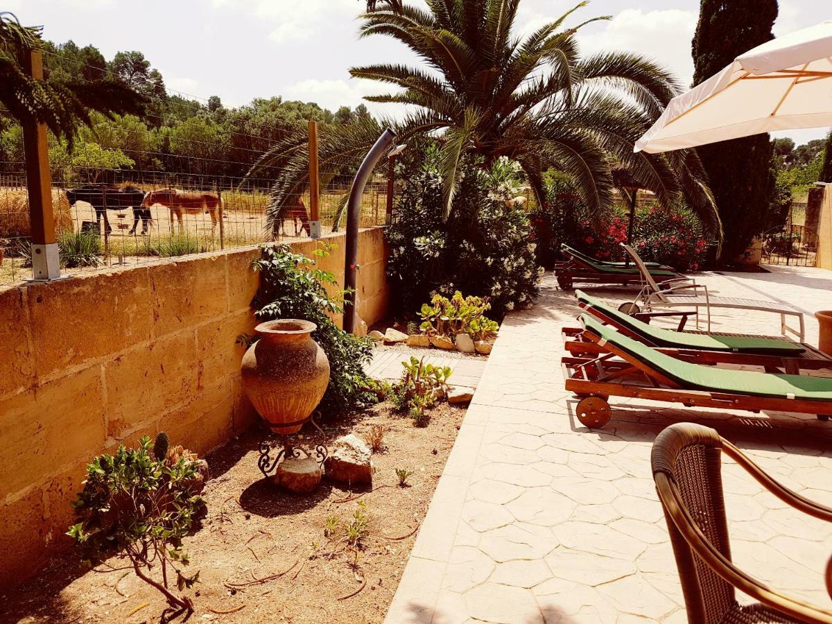 Hotel Finca Caballo Blanco Montuïri Exteriér fotografie